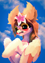 Size: 2025x2800 | Tagged: safe, artist:kainy, oc, pegasus, pony, big ears, embarrassed, female, flower, flower in hair, fluffy, heterochromia, looking at you, mare, open mouth, pony oc