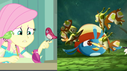 Size: 2560x1440 | Tagged: safe, editor:tom artista, screencap, fluttershy, bird, butterfly, human, pigeon, equestria girls, g4, my little pony equestria girls: better together, angry birds, angry birds stella, animal, classroom, clothes, creature, crossover, crowned pigeon, reference, talking, western crowned pigeon, willow (angry birds)