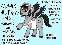 Size: 2745x2000 | Tagged: safe, artist:mano_m, oc, oc only, pegasus, cap, colored hooves, hat, hooves, pegasus oc, punk, raised hoof, reference sheet, simple background, sleeveless, spanish, spread wings, text, wings