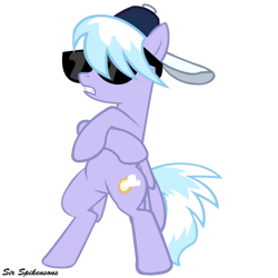 Size: 900x900 | Tagged: safe, artist:sirspikensons, cloudchaser, pegasus, pony, g4, bipedal, cap, female, hat, mare, simple background, solo, sunglasses, transparent background, vector