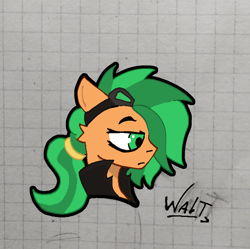 Size: 2552x2546 | Tagged: safe, artist:walt121, oc, oc only, oc:atom smasher, pegasus, pony, the sunjackers, fanart, female, goggles, graph paper, mare, ponytail, solo