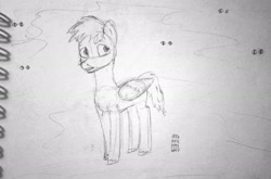 Size: 2752x1813 | Tagged: safe, artist:adamv20, oc, oc:rising edge, pegasus, atg 2024, male, newbie artist training grounds, stallion