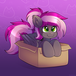 Size: 2900x2900 | Tagged: safe, artist:madelinne, oc, oc only, oc:bitwise operator, bat pony, pony, bat pony oc, bat wings, behaving like a cat, box, female, gradient background, mare, pony in a box, solo, wings