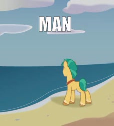 Size: 360x397 | Tagged: safe, artist:prixy05, hitch trailblazer, earth pony, pony, g5, my little pony: tell your tale, beach, caption, image macro, low quality, male, man (meme), meme, solo, stallion, text