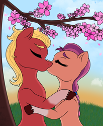 Size: 2300x2800 | Tagged: safe, artist:anix_space, sprout cloverleaf, sunny starscout, earth pony, pony, g5, cherry blossoms, coat markings, crack shipping, cute, duo, duo male and female, female, flower, flower blossom, grass, heart, height difference, hug, kissing, love, male, mare, romance, romantic, ship:sunnyclover, shipping, socks (coat markings), stallion, straight, sunset