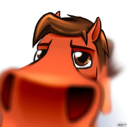 Size: 1484x1484 | Tagged: safe, artist:scarletdex8299, oc, oc only, oc:redgear alloy, earth pony, pony, close-up, extreme close-up, looking at you, male, nostrils, offscreen character, pov, sniffing, snoot, solo