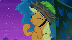 Size: 960x540 | Tagged: safe, screencap, applejack, the great seedling, earth pony, pony, g4, going to seed, season 9, cute, eyes closed, female, helmet, jackabetes, mare, night, night sky, sky, smiling, solo, starry night