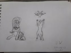 Size: 4032x3024 | Tagged: safe, artist:pink amena, fluttershy, bat, fruit bat, pegasus, pony, g4, batfly, crossover, duo, grayscale, jumping, monochrome, pencil drawing, rain world, sketch, slugcat, traditional art