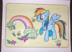 Size: 870x630 | Tagged: safe, artist:lullapiies, rainbow dash, bee, insect, pony, g4, coloring page, lesbian pride flag, pride, pride flag, rainbow, solo, traditional art