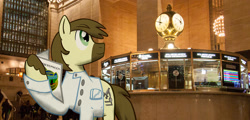 Size: 1024x490 | Tagged: safe, artist:bitgamer, oc, oc only, oc:caspasin42, earth pony, pony, grand central station, irl, male, photo, ponies in real life, solo, stallion