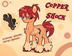 Size: 1400x1100 | Tagged: safe, artist:doodlesinky, oc, oc:copper shock, pegasus, pony, abstract background, annoyed, blaze (coat marking), butt, coat markings, cutie mark, facial markings, full body, male, pegasus oc, reference sheet, signature, stallion, stallion oc, text, unshorn fetlocks, watermark, wrench