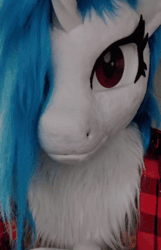 Size: 300x466 | Tagged: safe, artist:essorille, artist:vinylpone, dj pon-3, vinyl scratch, human, unicorn, anthro, g4, animal costume, animated, blue mane, chest fluff, chin scratch, close-up, clothes, cosplay, costume, cute, equine, female, furry, fursuit, gif, horn, indoors, irl, irl human, looking at you, mare, nuka cola, personal space invasion, photo, plaid, plaid shirt, ponysuit, purple eyes, ruffled hair, shirt, solo, thinking, video, window