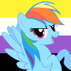 Size: 512x512 | Tagged: safe, rainbow dash, pegasus, pony, g4, free to use, nonbinary, nonbinary pride flag, pride, pride flag, pride month, profile picture, solo