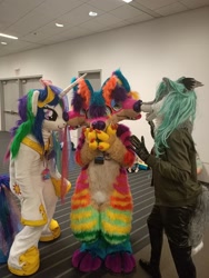 Size: 1536x2048 | Tagged: safe, artist:atalonthedeer, princess celestia, alicorn, dog, g4, furry, fursuit, indoors, irl, jewelry, multiple heads, nose to nose, photo, ponysuit, regalia, sparkledog, trio