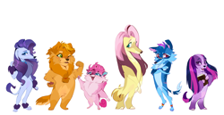 Size: 3762x1946 | Tagged: safe, artist:rr29578979, applejack, fluttershy, pinkie pie, rainbow dash, rarity, twilight sparkle, dog, pomeranian, g4, afghan hound, appledog, arm scar, bandage, bandaged tail, bandaid, bandaid on nose, beanbrows, bipedal, book, cheek fluff, chest fluff, coat markings, collar, colored muzzle, colored pinnae, crossed arms, cute, cute little fangs, dogified, ear piercing, earring, elbow fluff, eye scar, eyebrows, eyeshadow, facial markings, facial scar, fangs, female, flutterdog, freckles, gradient legs, group, jewelry, leg band, littlest pet shop, makeup, mane six, muzzle fluff, my little x, nose scar, one eye closed, open mouth, open smile, pale belly, paw pads, paws, piercing, puppy pie, rainbow dog, raridog, ruff, scar, sextet, simple background, smiling, socks (coat markings), species swap, standing, star (coat marking), twilight barkle, white background, wink