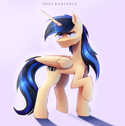 Size: 2958x3000 | Tagged: safe, artist:opal_radiance, oc, oc only, unnamed oc, alicorn, pony, alicorn oc, commission, eyebrows, folded wings, gradient background, high res, horn, long hair, male, raised hoof, shadow, signature, smiling, smirk, solo, stallion, stallion oc, wings