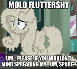 Size: 443x397 | Tagged: safe, edit, edited screencap, screencap, fluttershy, pegasus, pony, g4, the saddle row review, caption, dust, female, image macro, mare, solo, text