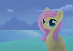 Size: 1470x1040 | Tagged: safe, artist:dusthiel, fluttershy, pegasus, pony, g4, atg 2020, big eyes, cloud, colored pupils, female, folded wings, grass, grass field, half body, looking at you, looking back, looking back at you, mare, mountain, newbie artist training grounds, night, night sky, ocean, old art, outdoors, redraw, scenery, sitting, sky, smiling, smiling at you, solo, stars, water, wings