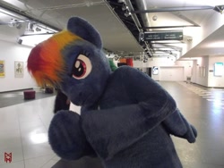 Size: 1600x1200 | Tagged: safe, artist:atalonthedeer, artist:giovannimagnus, rainbow dash, pegasus, g4, 2016, eurofurence, fursuit, indoors, irl, photo, ponysuit, solo, spread wings, wings