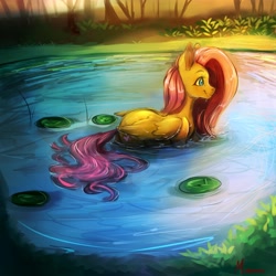 Size: 4000x4000 | Tagged: safe, artist:miokomata, fluttershy, pegasus, pony, g4, crepuscular rays, cute, flowing tail, freckles, freckleshy, lilypad, partially submerged, pegaduck, pond, shyabetes, smiling, solo, sunlight, swimming, tail, water, wet, wet tail