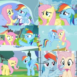 Size: 736x736 | Tagged: safe, screencap, fluttershy, rainbow dash, tank, pegasus, pony, tortoise, g4, season 1, season 4, season 5, season 9, sonic rainboom (episode), tanks for the memories, the ending of the end, trade ya!, bathrobe, clothes, collage, crying, donut, duo focus, episode needed, female, food, mare, one wing out, robe, sad, trio, wings, yay