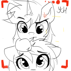 Size: 2048x2048 | Tagged: safe, artist:kristina, oc, earth pony, pegasus, pony, unicorn, camera shot, commission, couple, duo, horn, monochrome, selfie, simple background, white background, ych result