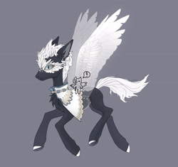 Size: 2656x2500 | Tagged: safe, artist:sivelu, oc, oc only, pegasus, pony, adoptable, cape, chest fluff, clothes, gray background, male, simple background, solo, spread wings, stallion, wings