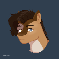 Size: 4134x4134 | Tagged: safe, artist:jjsh, oc, oc only, pegasus, pony, blue background, bust, heterochromia, high res, looking at you, male, portrait, scar, simple background, solo, stallion