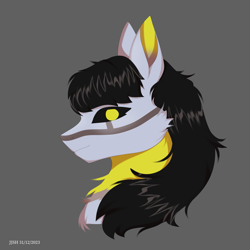 Size: 4134x4134 | Tagged: safe, artist:jjsh, oc, oc only, pony, black sclera, bust, female, gray background, high res, looking at you, mare, portrait, simple background, smiling, solo