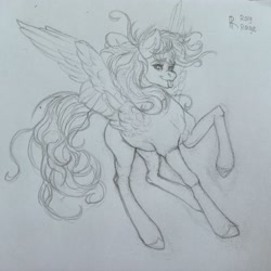 Size: 3000x3000 | Tagged: safe, artist:raychelrage, derpy hooves, pegasus, pony, simple background, sketch, solo