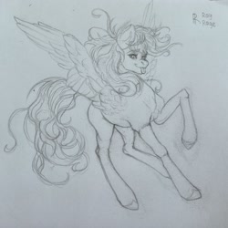 Size: 3000x3000 | Tagged: safe, artist:raychelrage, derpy hooves, pegasus, pony, g4, monochrome, palindrome get, simple background, sketch, solo, tongue out