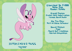 Size: 2100x1500 | Tagged: safe, artist:prixy05, pipp petals, alien, g4, g5, experiment, female, lilo and stitch, reference sheet, simple background, solo, species swap, text, wings