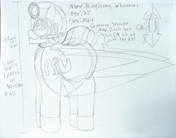 Size: 4426x3472 | Tagged: safe, oc, oc only, oc:wingstrong whetly, original species, pegasus, plane pony, 2d, bomb, chest fluff, clothes, female, flight suit, goggles, gun, large wings, male, pegasus oc, plane, reference sheet, short tail, smiling, solo, stallion, straight, suit, tail, tall, traditional art, weapon, wings