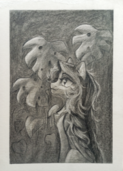 Size: 2791x3903 | Tagged: safe, artist:jsunlight, oc, oc only, pegasus, pony, monochrome, solo, traditional art