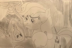 Size: 3316x2242 | Tagged: safe, artist:mlpfantealmintmoonrise, applejack, earth pony, g4, leap of faith, atg 2024, bottle, cork, curtains, doubt, female, frown, glass bottle, holding, irl, mare, monochrome, newbie artist training grounds, photo, picture, scene interpretation, simple background, solo