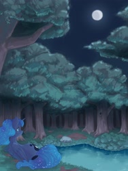 Size: 3000x4000 | Tagged: safe, artist:闪电_lightning, princess luna, alicorn, pony, g4, ethereal mane, female, folded wings, forest, full moon, horn, lake, lying down, mare, moon, moonlight, nature, night, night sky, on side, outdoors, sky, solo, starry mane, starry tail, tail, tree, water, wings