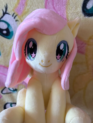 Size: 1500x2000 | Tagged: artist needed, safe, fluttershy, pegasus, pony, g4, blanket, craft, female, irl, mare, merchandise, photo, plushie, sitting, smiling, solo, spread wings, starry eyes, wingding eyes, wings