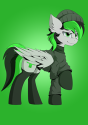 Size: 1200x1700 | Tagged: safe, artist:hovawant, oc, oc only, oc:nighty, pegasus, beanie, clothes, gradient background, green and black mane, green and black tail, green background, green eyes, hat, looking at you, male, pegasus oc, shirt, socks, solo, wings