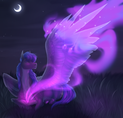 Size: 2600x2500 | Tagged: safe, artist:dementra369, oc, oc only, oc:star reader, pegasus, phoenix, pony, g4, book, commissioner:shaddar, constellation, countershading, crescent moon, grass, large wings, lying down, magic, moon, night, one wing out, pegasus oc, pony oc, prone, solo, stars, wings