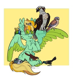 Size: 1000x1000 | Tagged: safe, artist:koidial, grackle, oc, oc only, oc:snapshot (sunglooow), bird, osprey, pegasus, pigeon, pony, g4, big ears, bird on head, blank flank, blush lines, blushing, butt fluff, camera, cheek fluff, chest fluff, chickadee (bird), cloven hooves, colored ear fluff, colored hooves, colored pupils, cowbird, ear fluff, ear piercing, ear tufts, earring, egg, eye clipping through hair, feather, fluffy, focused, frown, green eyes, green hooves, green pupils, happy, hooves, jewelry, kestrel, leg fluff, male, mint coat, multicolored mane, multicolored tail, neck fluff, partially open wings, passepartout, pegasus oc, piercing, raised hooves, requested art, shoulder fluff, signature, simple background, sitting, smiling, solo, sparkly eyes, stallion, stallion oc, tail, teal coat, three toned mane, three toned tail, tri-color mane, tri-color tail, tri-colored mane, tri-colored tail, tricolor mane, tricolor tail, tricolored mane, tricolored tail, unshorn fetlocks, wall of tags, wavy mouth, white background, wing fluff, wingding eyes, wings
