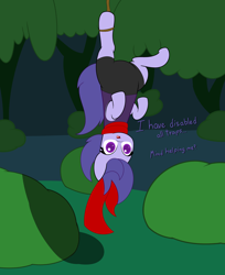 Size: 6592x8078 | Tagged: safe, artist:izzy64, oc, oc only, oc:lucky day, earth pony, pony, clothes, earth pony oc, hanging, rope, scarf, solo, upside down