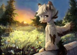 Size: 1280x904 | Tagged: safe, artist:jackiesenvy, oc, oc only, pegasus, pony, bow, choker, colored wings, colored wingtips, ear tufts, field, flower, looking at you, looking back, looking back at you, sitting, solo, spread wings, sunset, tail, tail bow, wings