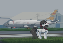 Size: 1800x1222 | Tagged: safe, artist:rieyadraws, oc, oc only, oc:jet blast, insect, ladybug, pegasus, air force, air force base, airport, blue eyes, boeing, boeing 737, chest fluff, ear fluff, floppy ears, grass, hangar, husein sastranegara afb, indonesia, indonesian, indonesian air force, irl location, jet engine, looking at something, plane, raised hoof, taxiway, two toned mane, wings