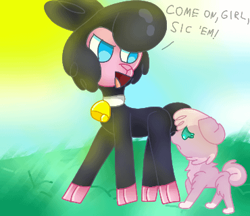 Size: 370x320 | Tagged: safe, artist:pomdb, pom (tfh), dog, sheep, them's fightin' herds, adorapom, bell, bell collar, black sheep, collar, community related, cute, dogified, duo, duo male and female, female, grass, looking at someone, male, open mouth, role reversal, sheepified, species swap, sun