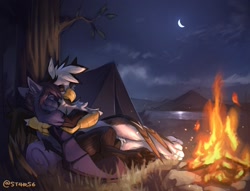 Size: 2000x1526 | Tagged: safe, artist:st4rs6, oc, oc only, oc:nyn indigo, oc:ospreay, griffon, hybrid, bat wings, beak, campfire, camping, cloud, commission, cozy, crescent moon, cuddling, cute, duo, fire, grass, hug, moon, mountain, night, outdoors, paws, reflection, river, scenery, smiling, stars, tent, tree, water, watermark, wholesome, wings