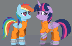 Size: 3925x2500 | Tagged: safe, artist:ponkus, rainbow dash, twilight sparkle, alicorn, pegasus, pony, g4, chains, clothes, commission, commissioner:rainbowdash69, duo, duo female, ear fluff, female, jumpsuit, mare, never doubt rainbowdash69's involvement, prison outfit, prisoner, prisoner rd, prisoner ts