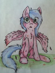 Size: 720x960 | Tagged: safe, artist:drakovyte, oc, oc only, pegasus, pony, 2013, colored pencil drawing, pink coat, raised hoof, solo, traditional art