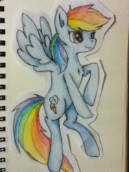 Size: 720x960 | Tagged: safe, artist:drakovyte, rainbow dash, pony, g4, 2013, backwards cutie mark, blue coat, colored pencil drawing, female, mare, smiling, solo, spread wings, traditional art, wings