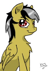 Size: 640x960 | Tagged: safe, artist:drakovyte, oc, oc only, pegasus, pony, 2014, chest fluff, not daring do, pegasus oc, simple background, smiling, solo, white background