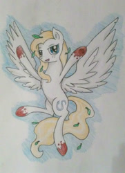 Size: 1262x1745 | Tagged: safe, artist:drakovyte, oc, oc only, pegasus, pony, colored pencil drawing, fanart, pegasus oc, solo, traditional art